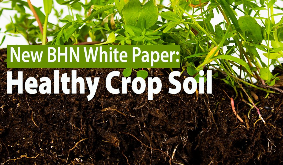 8 Simple Steps to Healthy Crop Soil