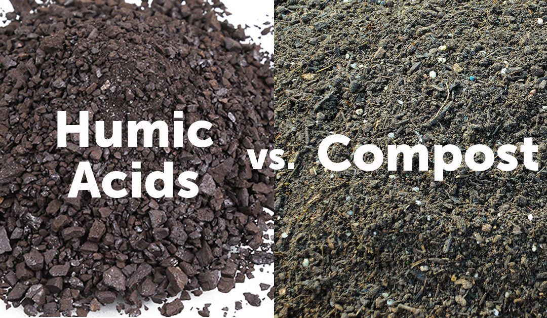 Humic Acids vs. Compost